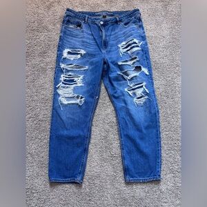 American Eagle Outfitters Distressed Blue Denim Mom Jean
